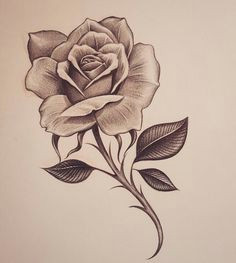 Drawing Of Rose Window 96 Best Rose Drawing Tattoo Images