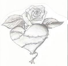 Drawing Of Rose with Heart 95 Best Heart Rose and Banner Images Tattoo Artists Tattoo Art