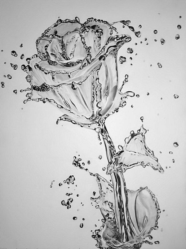 Drawing Of Rose with Name Roses are My Favorite Flower and Rose is Also My Best Friend S