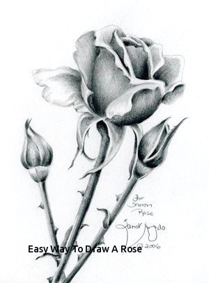 Drawing Of Rose with Pencil Easy Way to Draw A Rose 2860 Best Pencil Sketch Images On Pinterest