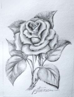 Drawing Of Rose with Shading 136 Best Rose Drawings Images Painting Drawing Painting On