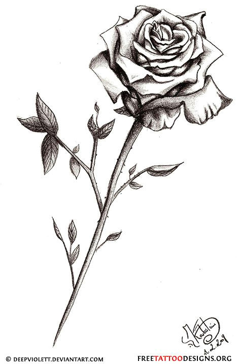 Drawing Of Rose with Stem 50 Rose Tattoos Meaning All Things Roses Rose Tattoos Tattoos