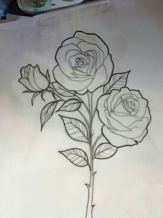 Drawing Of Rose with Stem Pin by Miguelita Moore On Rose Drawings Rose Sketch Rose Drawing