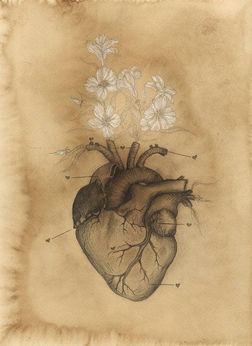 Drawing Of Sacred Heart Pin by Brooke Becker On A Curious Darkness Heart Tattoo Designs