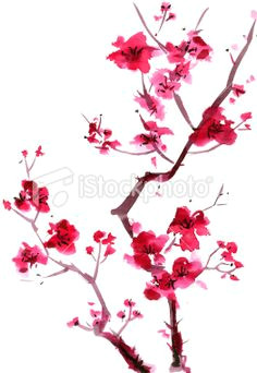 Drawing Of Sakura Flower 85 Best Japanese Cherry Blossom Art Images Blossom Tree Tattoo