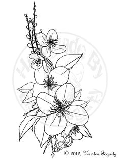 Drawing Of Sampaguita Flower 44 Best Tattoos Images Draw Flower Designs Jasmine Tattoo