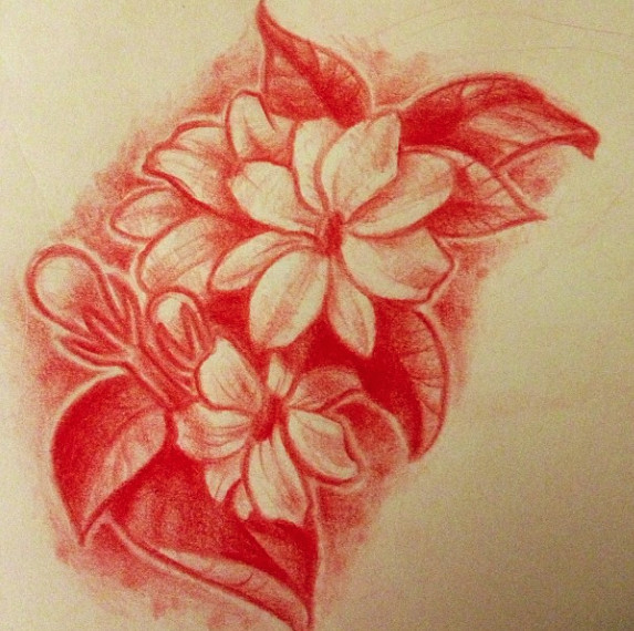 Drawing Of Sampaguita Flower Drawing Of My Tattoo Sampaguita Flowers by Lindsay Bugbaker