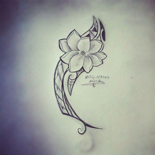 Drawing Of Sampaguita Flower Sampaguita Flower Drawing Google Search Filipinotattoosancient