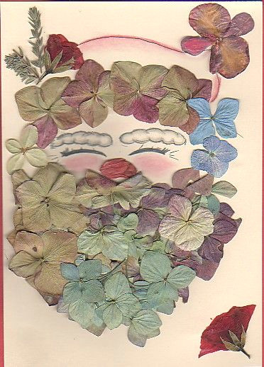 Drawing Of Santan Flower Pressed Hydrangias with Pastel Drawing Of Santa Dried and Pressed