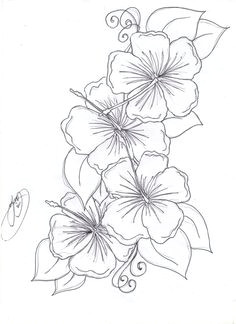 Drawing Of Shoe Flower 11 Best Hibiscus Drawing Images In 2019 Hibiscus Drawing Hibiscus