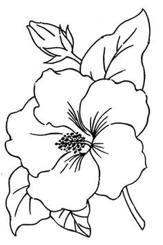 Drawing Of Shoe Flower 28 Best Line Drawings Of Flowers Images Flower Designs Drawing