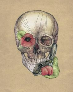 Drawing Of Skull and Crossbones 227 Best Skull Bones Images Drawings Paintings Death