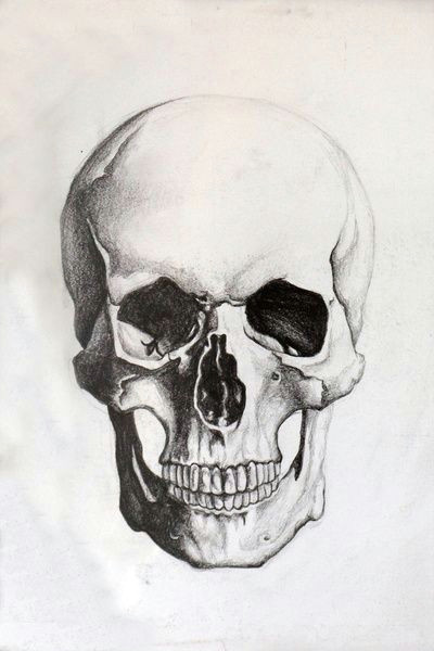 Drawing Of Skull and Crossbones Skull Sketch Tattoo Skull Sketch Drawings Skull Art