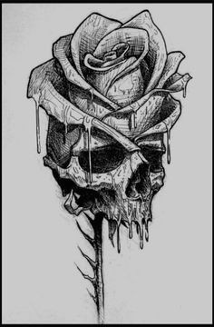 Drawing Of Skulls and Roses 105 Best Skulls Roses Images In 2019 Skulls Skeletons Skull