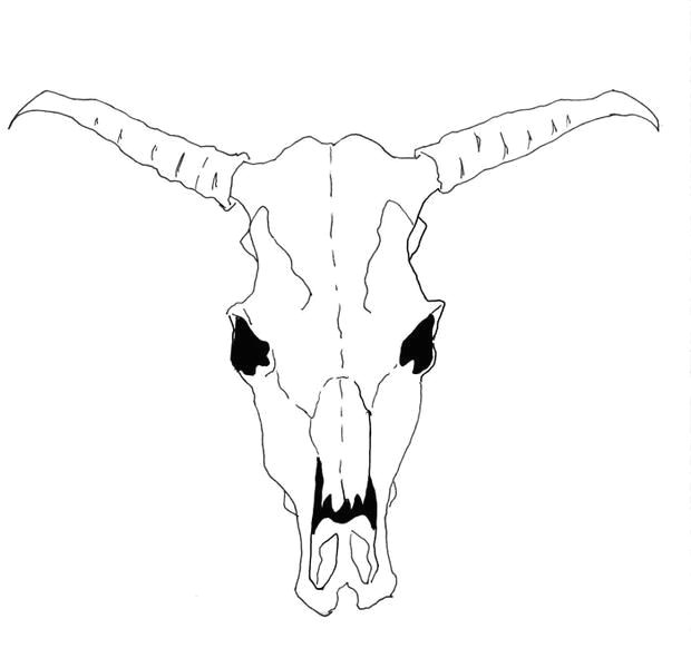 Drawing Of Skulls Easy How to Draw A Cow Skull for Georgia O Keeffe Famous Artist