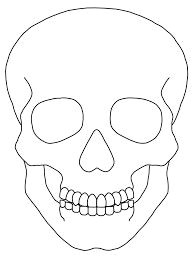 Drawing Of Skulls Easy Skull Drawing Vector Black and White Illustration Of Human Skull