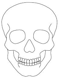 Drawing Of Skulls Easy Skull Drawing Vector Black and White Illustration Of Human Skull