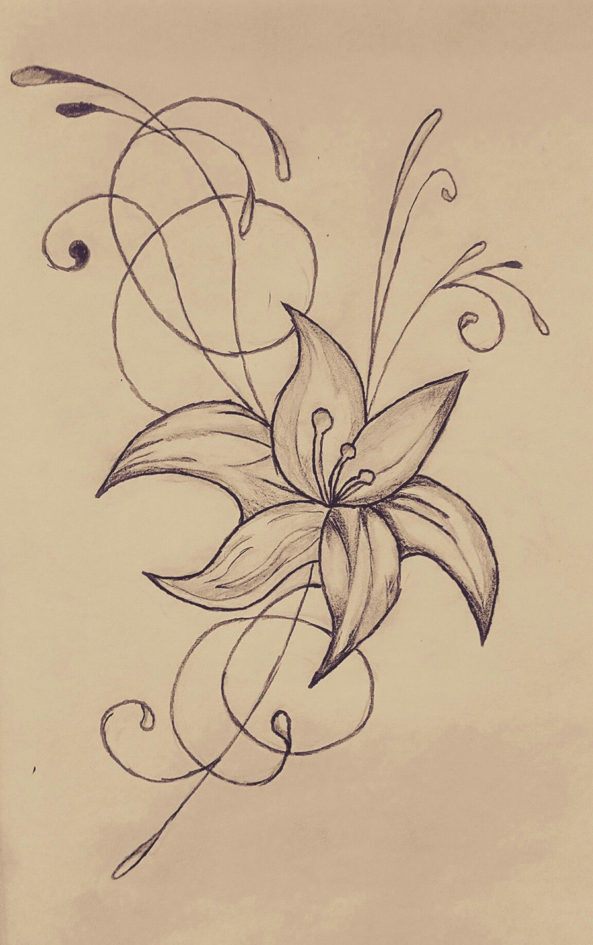 Drawing Of Small Flowers Small Flower My Drawings Pinterest