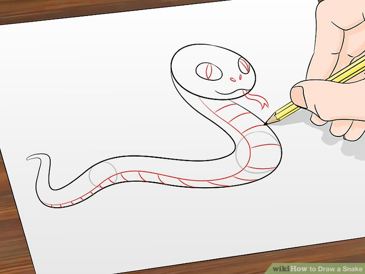 Drawing Of Snake Eye 2 Ways to Draw A Simple Snake Step by Step Wikihow