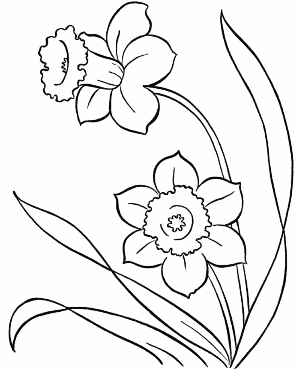 Drawing Of Spring Flowers Line Drawings Of Snowdrops Google Search Flower Outlines