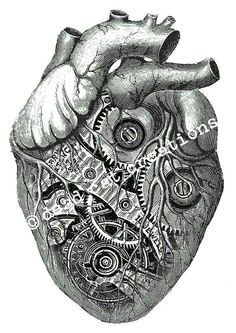 Drawing Of Steampunk Heart 101 Best Steampunk Images Drawings Anatomy Art Human Heart