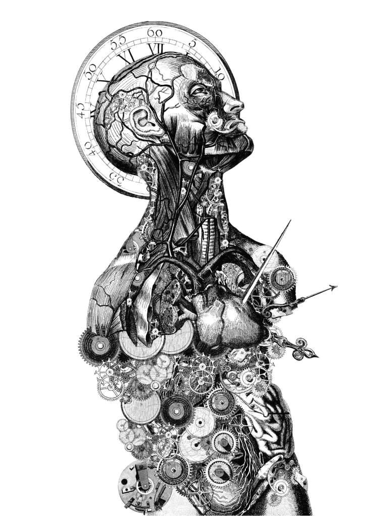 Drawing Of Steampunk Heart Art Drawing Illustration Anatomy Skeleton Humanbody Man