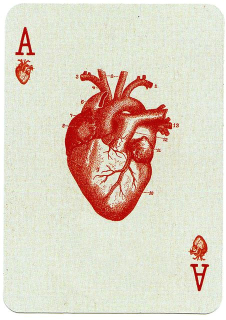 Drawing Of Strawberry Heart Playing Card Design A N A T O M Y Art Ace Of Hearts Drawings