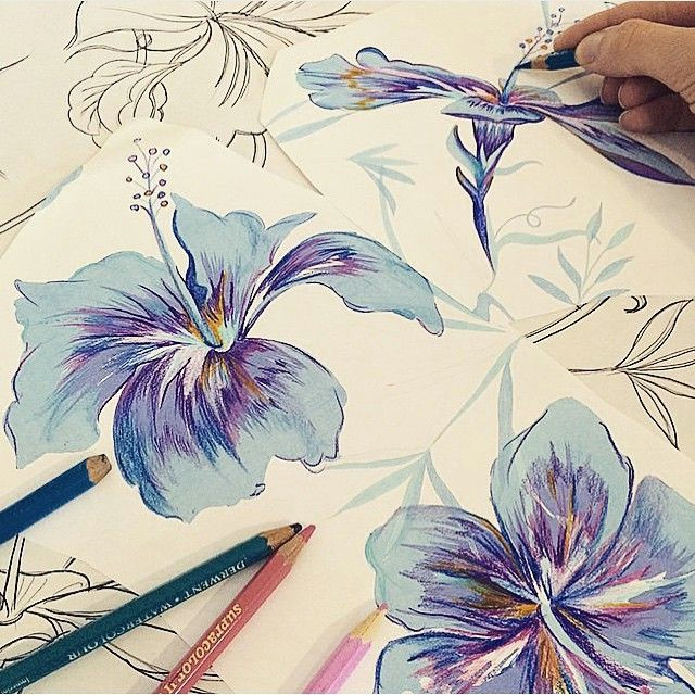 Drawing Of Summer Flowers Drawing Hibiscus Flowers for Our atlas Print for Summer Prints