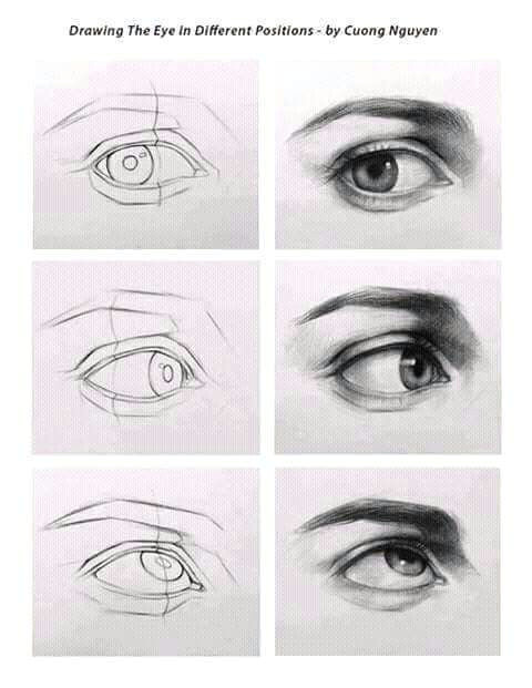 Drawing Of the Eye and Labeled Pin by Ken Keyes On Portraiture Drawings Art Art Drawings