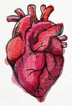 Drawing Of the Heart Anatomy Draw A Human Heart My Art Institute Drawings Human Heart Human