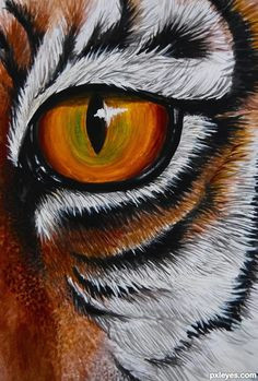 Drawing Of Tiger Eye 10 Best Tiger Eye S Images Tiger Drawing Eyes Drawings Of Tigers