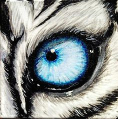 Drawing Of Tiger Eye 10 Best Tiger Eye S Images Tiger Drawing Eyes Drawings Of Tigers