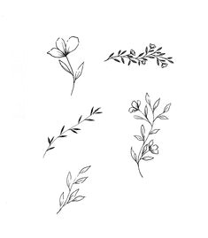 Drawing Of Tiny Flowers 58 Best Tattoos Images In 2019 Tiny Tattoo Small Inspirational