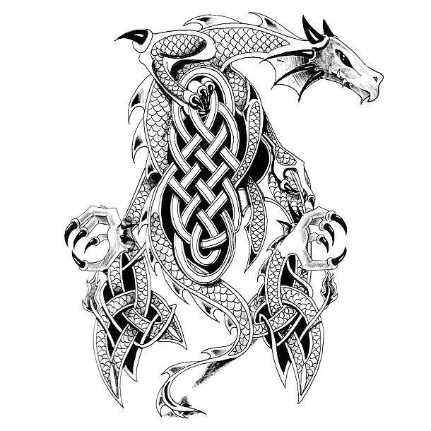 Drawing Of Tribal Dragons Cool Celtic Dragon Tattoo Design D N D Dod D Celtic Dragon Tattoos