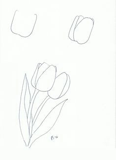 Drawing Of Tulip Flowers How to Draw A Tulip Step by Step Drawing Tutorials Draw Flowers
