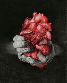 Drawing Of Two Hands Making A Heart 274 Best Heart In Hand Images Anatomical Heart Anatomy Art