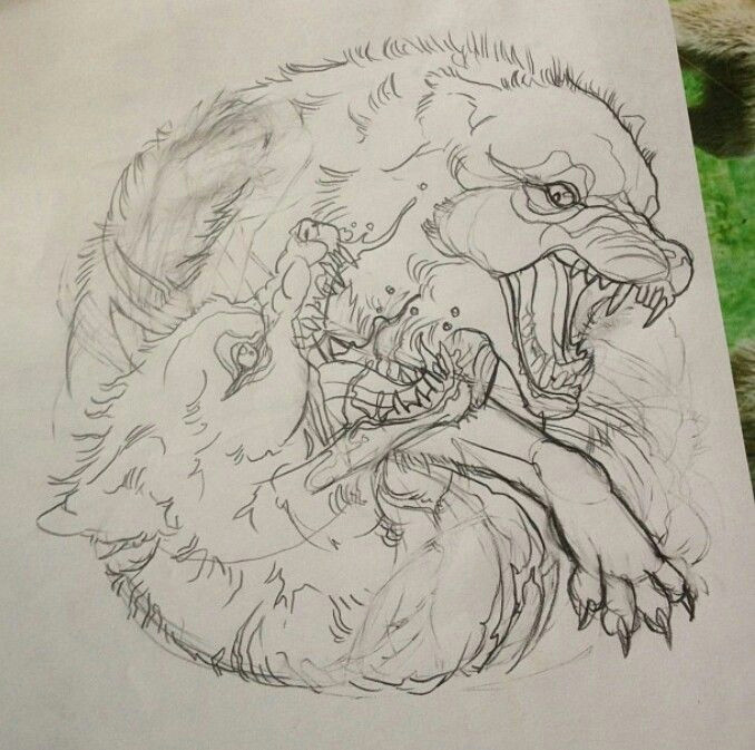 Drawing Of Vicious Wolf Vicious Wolves Tattoo In 2019 Badger Tattoo Animal Drawings