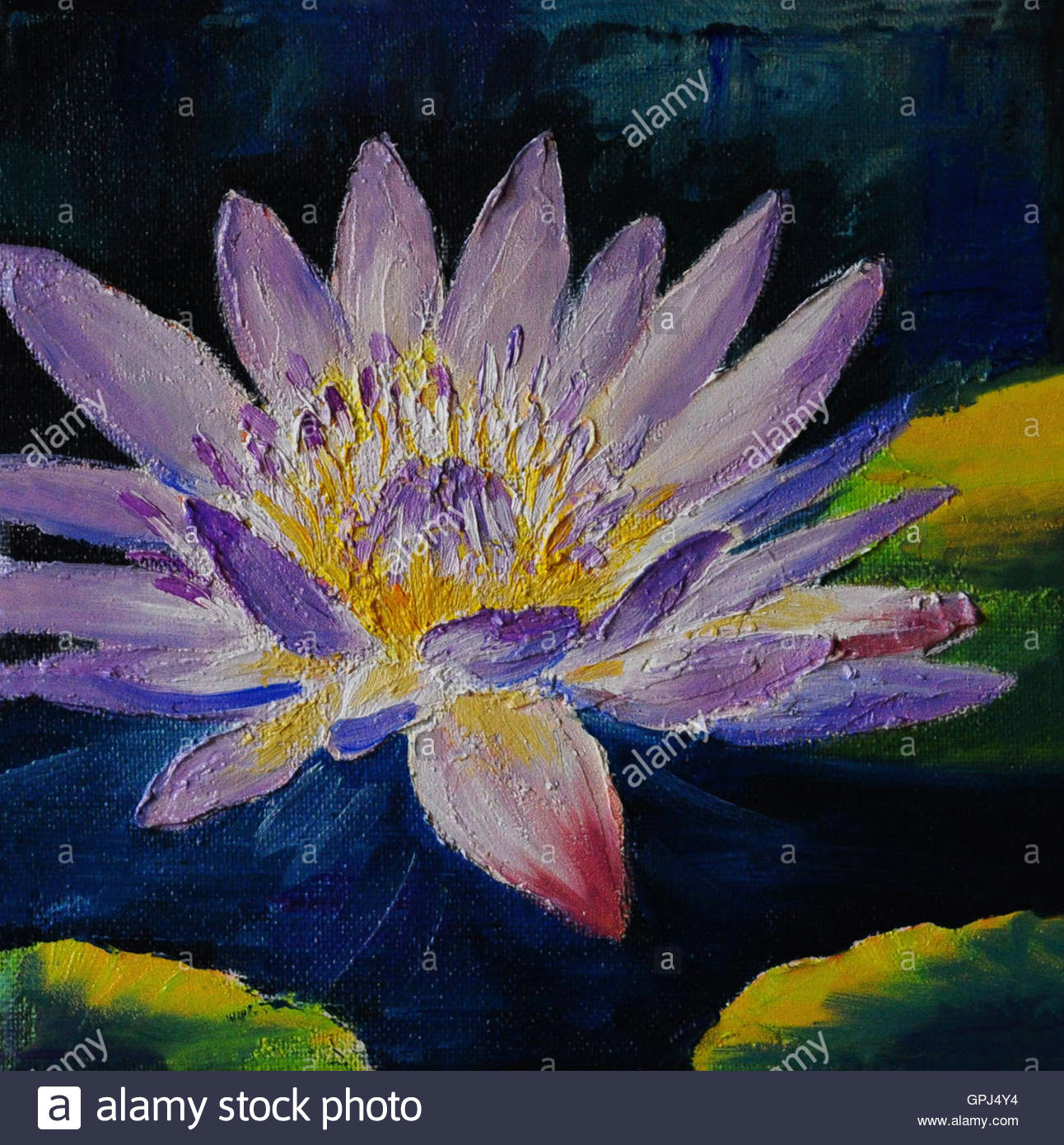 Drawing Of Violet Flower Oil Painting Purple Lotus Flower Abstract Drawing Stock Photo