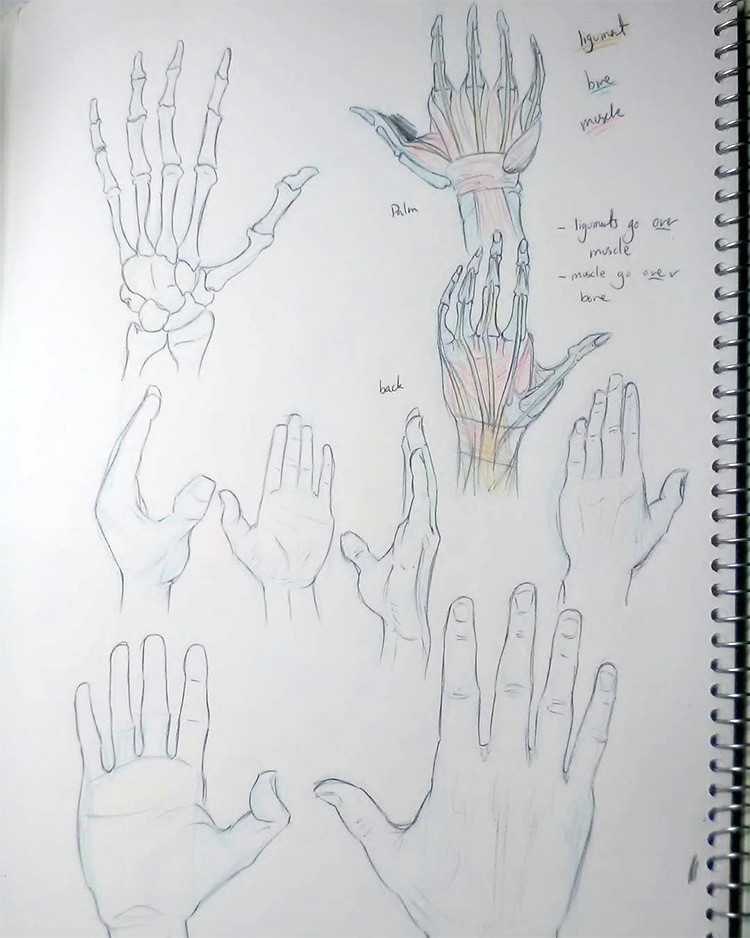 Drawing Of Washing Your Hands 100 Drawings Of Hands Quick Sketches Hand Studies