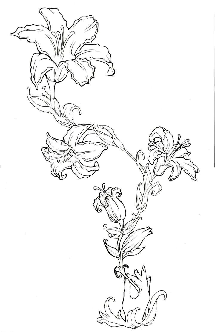 Drawing Of Water Lily Flower Beautiful Outline Lily Flowers Tattoo Design Outline Tattoo