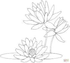 Drawing Of Water Lily Flower Image Result for Water Lily Coloring Pages Motifs Coloring Pages