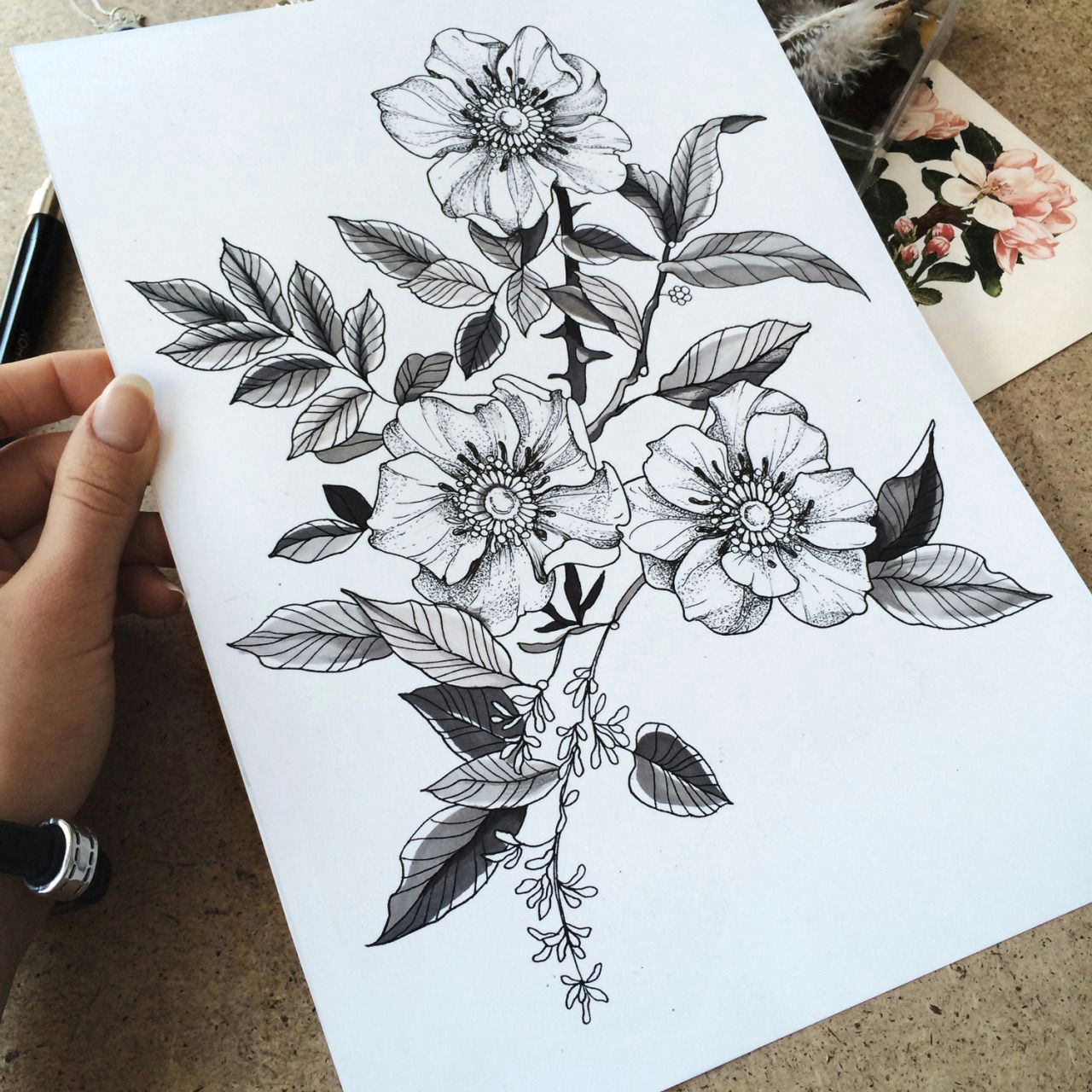 Drawing Of Wild Rose Familyinktattoo Wild Roses Tattooskech Body Modification