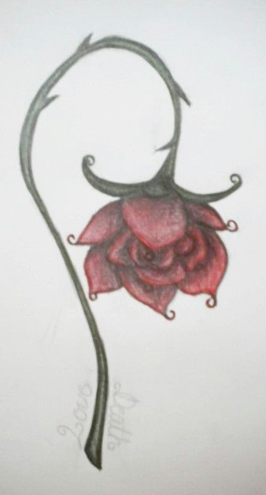 Drawing Of Wilted Flower Abstract Rose A Wilted Rose Rose Drawings Wilted Rose