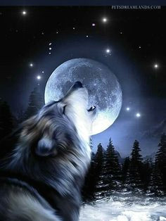 Drawing Of Wolf and Moon 33 Best Wolf Moon Images Wolves Moonlight Werewolf