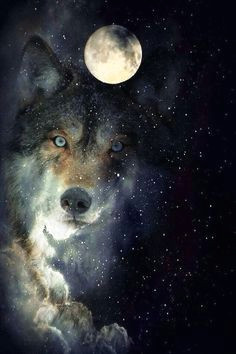 Drawing Of Wolf and Moon 33 Best Wolf Moon Images Wolves Moonlight Werewolf