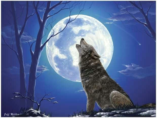 Drawing Of Wolf and Moon Lone Wolf by Jeff Wilkie Grey Wolf Howling at the Moon 300 Piece