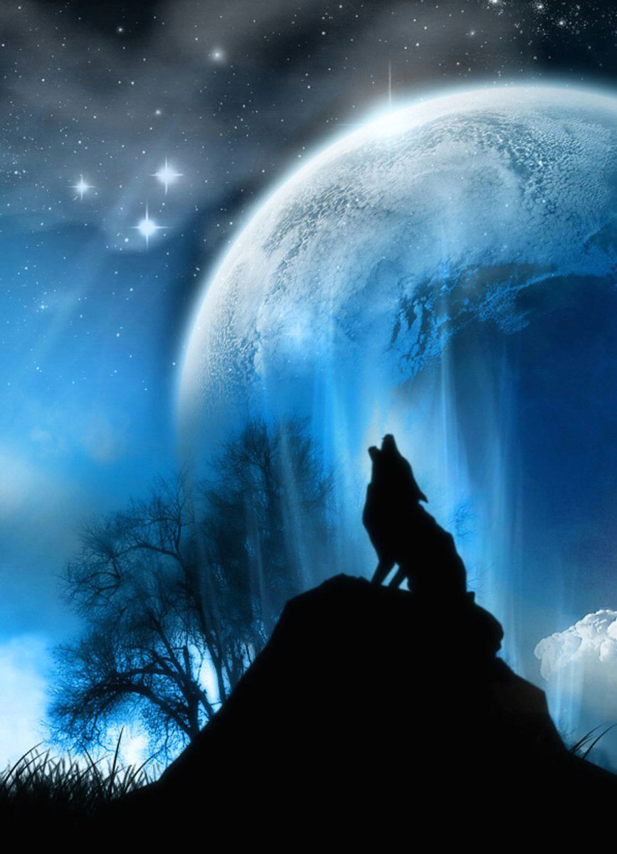 Drawing Of Wolf and Moon Wolf Howling at the Moon Painting Ideas Wolf Wolf Wallpaper