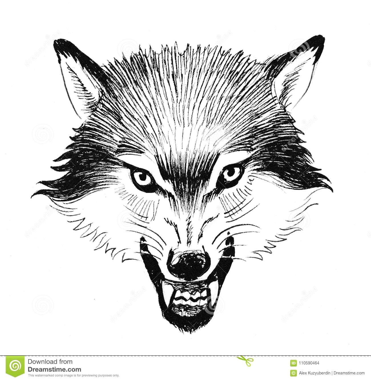 Drawing Of Wolf Black and White Angry Wolfs Stock Illustration Illustration Of Wild 110590464