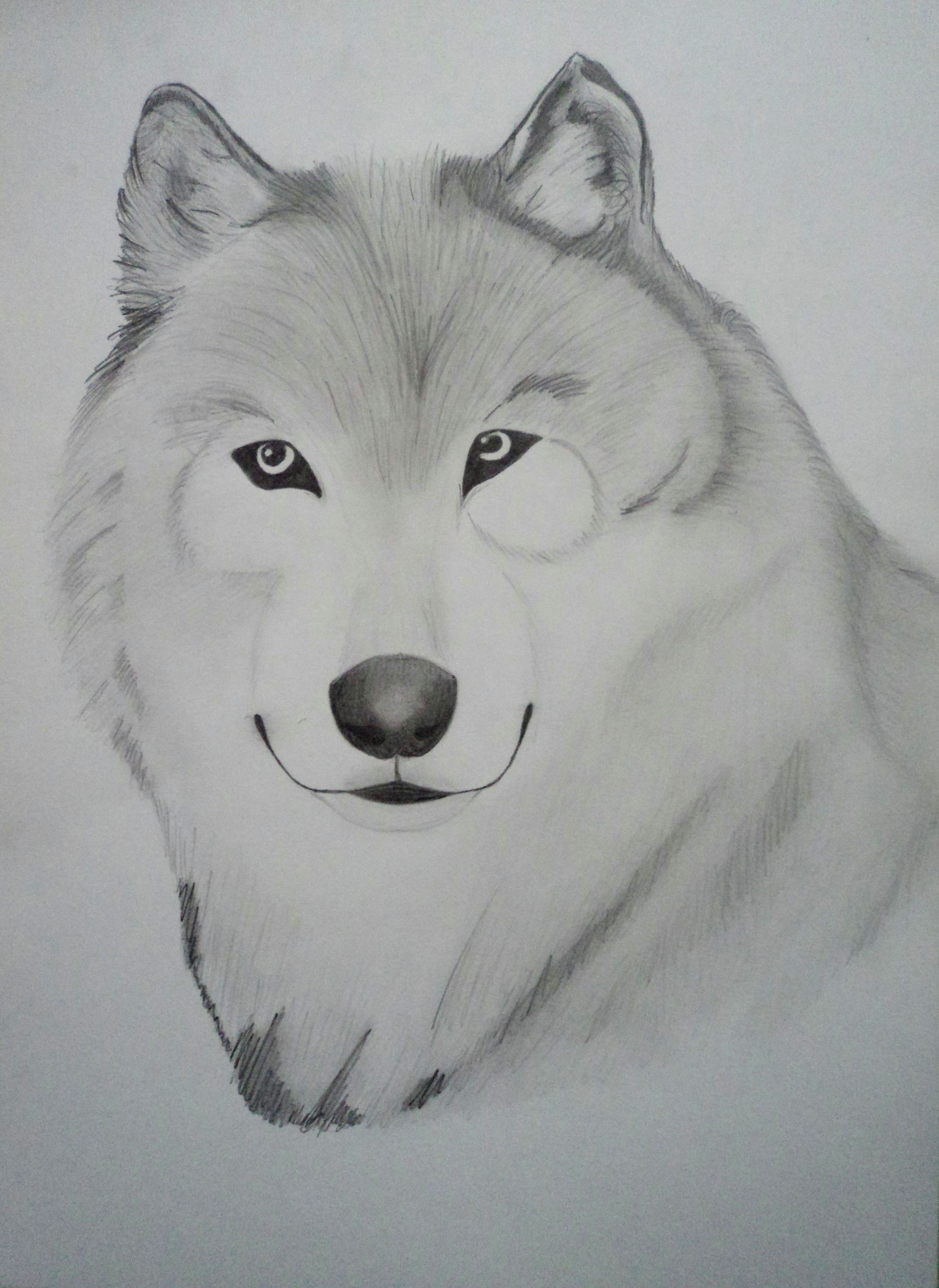 Drawing Of Wolf Black and White Pin Od Poua A Vatea A Natalia Kysea Ova Na Nastenke Drawing Pinterest