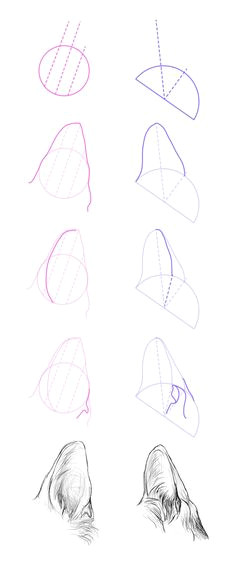 Drawing Of Wolf Ears 180 Best Wolf Drawings Images Drawing Techniques Drawing